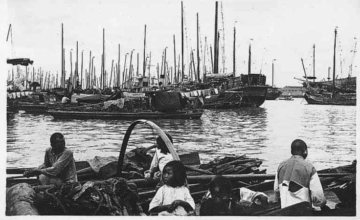 Shanghai Harbour