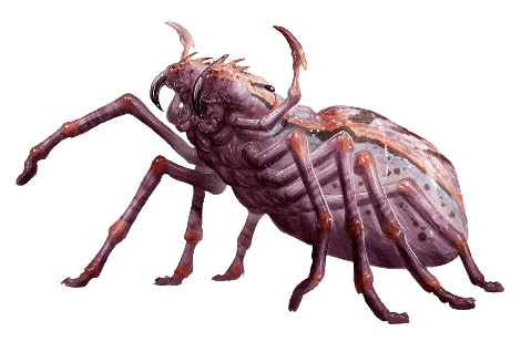 Arachnarok Spider