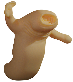 Llglii